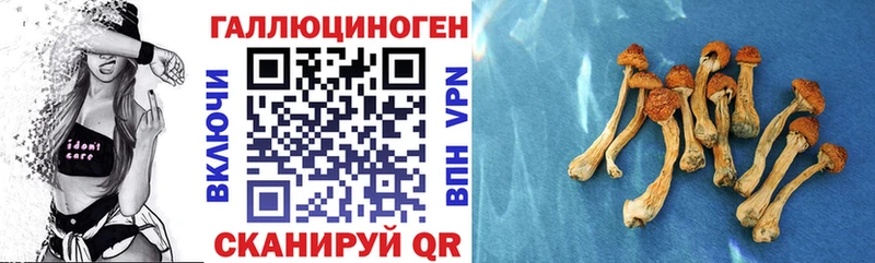 Псилоцибиновые грибы Magic Shrooms Родники